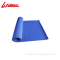 Paso aerobics de plataforma ajustable del gimnasio de fitness interior